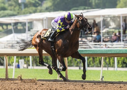 Draft Pick wins the 2018 Affirmed Stakes