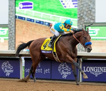 American Pharoah and jockey Victor Espinoza win the Breeders' Cup Classic at Keeneland Race Course on October 31, 2015.