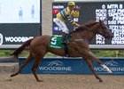 Pink Lloyd wins the Achievement Stakes at Woodbine