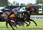 La Sardane fights through the stretch to win the Intercontinental by a neck at Belmont Park