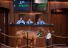 A New Year's Day colt consigned as Hip 235 brought $205,000 during the first session of the OBS June sale