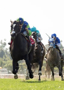 Take the One O One and jockey Joseph Talamo win the $200,000 Snow Chief Stakes Saturday, June 2, 2018 at Santa Anita Park, Arcadia, CA.