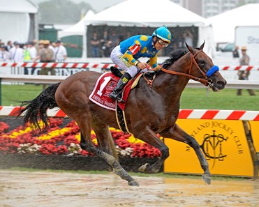 American Pharoah with Victor Espinoza wins the Preakness Stakes (G1) at Pimlico on May 16, 2015.