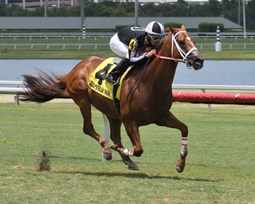Pay Any Price wins 2018 Crystal River Stakes at Gulfstream Park.
