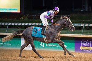 Pavel with Mario Gutierrez wins Stephen Foster (G1) Jan. 16, 2016 Churchill in Louisville, Kentucky.
