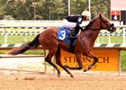 Little Miss Raelyn wins on debut at Laurel Park