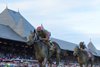 Sippican Harbor wins the 2018 Spinaway Stakes