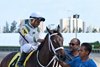 Trenchtown Cat wins the 2019 Ana T. Stakes at Gulfstream Park