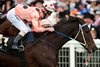 Black Caviar (Luke Nolan) wins the Diamond Jubilee Stakes
Royal Ascot 23.6.12 Pic: Edward Whitaker