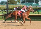 Phantom Boss wins the 2019 Bashford Manor Stakes at Churchill Downs