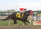 Spun to Run prepped for his 2019 Breeders' Cup Dirt Mile win with a victory in the M.P. Ballezzi Appreciation Mile Stakes at Parx Racing
