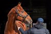Vino Rosso at
Spendthrift
on Nov. 8, 2019 Spendthrift in Lexington, KY.