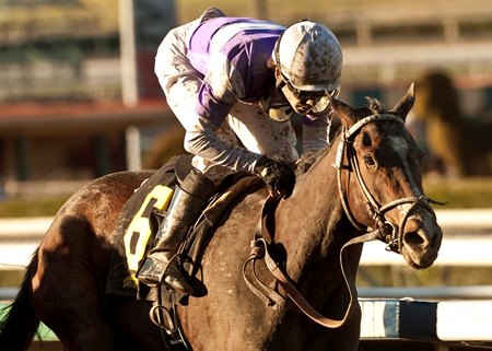Renee's Titan wins the Santa Ynez Stakes.