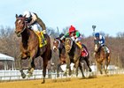 Majestic Reason wins the Barbara Fritchie Stakes at Laurel Park
