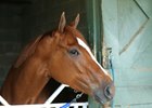 British Idiom at Oaklawn Park