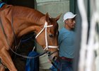 Monomoy Girl will make her return to the graded ranks July 11 at Belmont Park