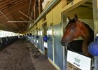 Dr Post in June at Belmont Park