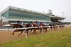Horses racing past the stands in the Visit atthraces.com Handicap at Wolverhampton won by Shaffire. 12/6/2020 