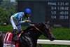 No Parole wins the Woody Stephens with jockey Luis Saez in the irons at Belmont Park on Belmont Stakes Day June 20, 2020