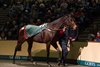 Irish Oaks winner Chicquita sells for €6million to Ross and Peter Doyle Goffs November Sale Pic: Patrick McCann 22.11.2013