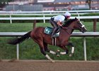 Tiz the Law - Morning - Saratoga - 080120