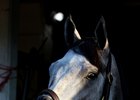 Enforceable at Churchill Downs
