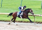 Art Collector works Aug. 1 at Churchill Downs