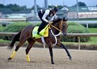 King Guillermo gallops Sept. 2 at Churchill Downs