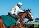Robin Smullen shares a moment with Tiz the Law Sept. 19 at Belmont Park