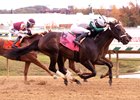 Miss Nondescript wins the 2020 Maryland Million Lassie Stakes
