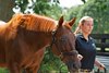 Funny Cide at the Kentucky Horse Park near Lexington, Ky., on Sept. 1, 2020 Kentucky Horse Park in Lexington, KY.