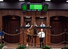 Hip 368. Tiznow-Lil Super Bear —Bear Brain sold $150.000 . @ OBS. Ocala Jan 26 2021