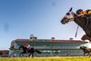 1-16-2021  -  Shaun Bridgmohan aboard Secret Message with Shaun Bridgmohan aboard takes an outside route towin the 27th running of the Marie G. Krantz Memorial Stakes at Fair Grounds.  Hodges Photography / Amanda Hodges Weir