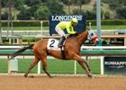 Wildman Jack and jockey Abel Cedillo win the Grade III, $100,000 Palos Verdes Stakes, Saturday, January 23, 2021 at Santa Anita Park, Arcadia CA.
© BENOIT PHOTO