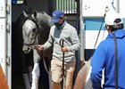 Essential Quality - Arrival - Churchill Downs - 040521