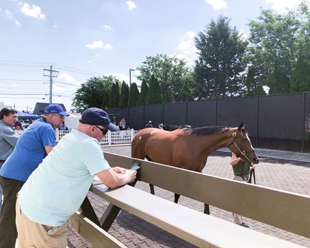 Looking at horses during the Fasig-Tipton Midlantic 2-Year-Olds in Training Sale