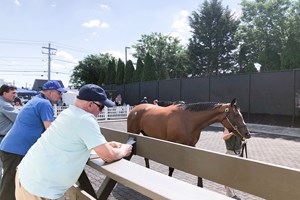 Looking at horses during the Fasig-Tipton Midlantic 2-Year-Olds in Training Sale