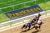 2021 Preakness Scene