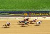 2021 Preakness Scene