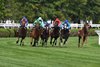 War Like Goddess wins the 2021 Glen Falls Stakes at Saratoga