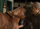 Scene, Hip 3012, 2021 Keeneland September Yearling Sale
