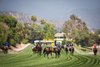 Santa Anita