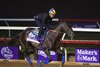 Eight Rings
Horses and horsemen training toward the Breeders’ Cup at Del Mar on Nov. 3, 2021.