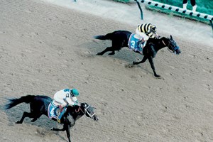Grindstone (left) catches Cavonnier at the wire of the 1996 Kentucky Derby at Churchill Downs