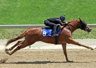 Hip 9 works an 1/8th in 10 flat, 2022 Fasig-Tipton Midlantic 2 Y-O-in Training Sale