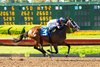 Becca Taylor and jockey Juan Hernandez win the Grade II, $200,000 Great Lady M Stakes, Monday, July 4, 2022 at Los Alamitos Race Course, Cypress, Ca.
© BENOIT PHOTO