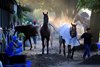 Business is frenetic July 22, 2008, on the backstretch of the Oklahoma Training Track adjacent to the Saratoga Race Course the day before the opening of the 140th meeting of the famed and historic facility in Saratoga Springs, New York.