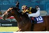 Jockey Pablo Morales guides Bound for Nowhere to victory in the $200,000 Highlander Stakes at Woodbine for owner and trainer Wesley A. Ward.