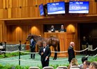 Hip 202 a yearling colt by Gun Runner out of Heavenly Love, was consigned to the August yearling session of The Saratoga Sale on Aug. 9, 2022, in Saratoga Springs, N.Y.