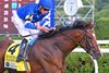 Nations Pride with William Buick wins the Caesars Saratoga Derby Invitational (G1T).
Racing at Saratoga Race Course in Saratoga Springs, N.Y., on Aug. 6, 2022.